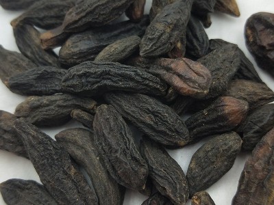 西青果 中药材批发藏青果 干青果 进口 西青果 包化验 药厂投料图4