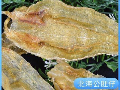 霞乐晴 北海公肚小北海肚花胶鱼胶鱼肚批发鳘鱼胶规格齐全图3