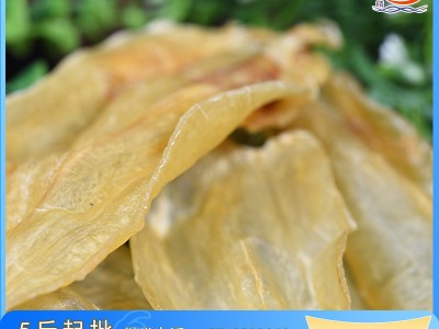 霞乐晴 北海公肚小北海肚花胶鱼胶鱼肚批发鳘鱼胶规格齐全图2