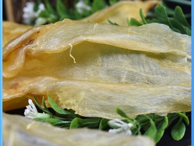 霞乐晴 北海公肚小北海肚花胶鱼胶鱼肚批发鳘鱼胶规格齐全图4