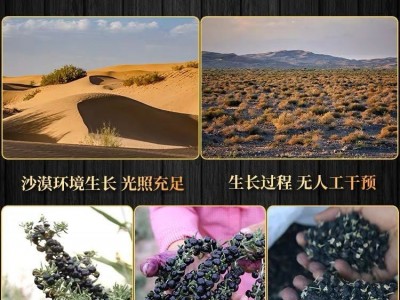 杞生纪青海黑枸杞子特大果500g 工厂批发枸杞批发黑枸杞 正品特级图2
