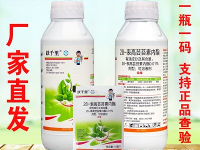 28表高芸苔素内脂农药生长调节剂叶面肥瓜果花卉蔬菜生物调节剂图2