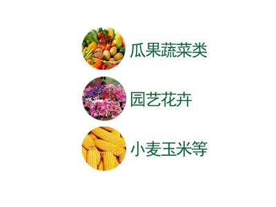 磷酸二氢钾叶面肥瓜果蔬菜类小麦玉米园艺花卉肥料400克/袋图4