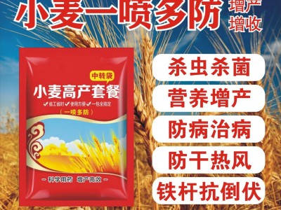 小麦高产套餐三遍药增产套餐小麦一喷三防小麦套餐农药防白粉蚜虫图3