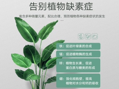 史丹利大量元素水溶肥高氮高磷高钾氮肥磷肥钾肥通用复合肥100克图3