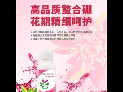 澎靓液体硼肥 果树油菜棉花保花保果农用硼肥中量元素水溶肥图3