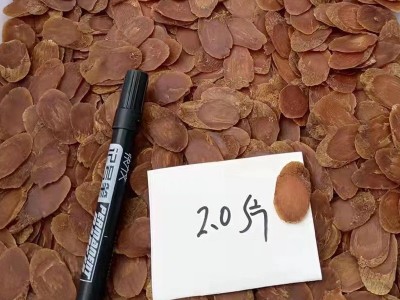 批发中药材红参 高丽参东北人参吉林长白山不加糖大片无糖红参片图2