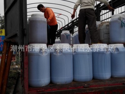厂家批发自然土蜂蜜散装农家自产工用蜂蜜早餐烘焙烧烤用桶装蜂蜜图4