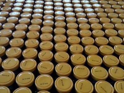 原生态农家自产土蜂蜜散装 桶装自然龙眼蜂蜜厂家大桶装厂家批发图3
