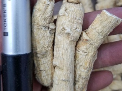 整个西洋参，西洋参片都有，品种规格齐全250克图2