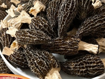 云南头茬头期剪脚短柄细纹厚肉250g酒店餐饮菌菇煲汤食材干羊肚菌图3