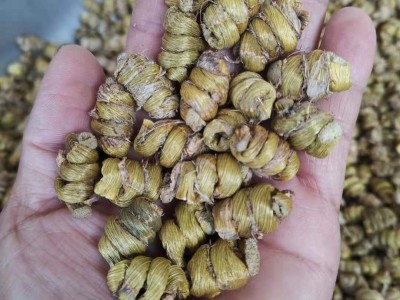 云南水草石斛枫斗 生石斛颗粒 水草石斛胶质好干条鲜条批发图2
