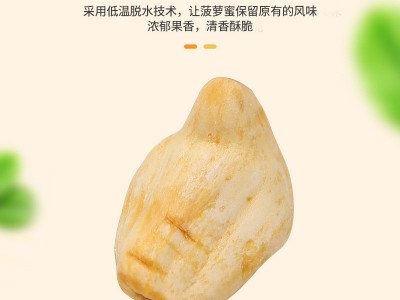 菠萝蜜干250克袋装净重越南菠萝蜜干厂家直发果干综合果干图3