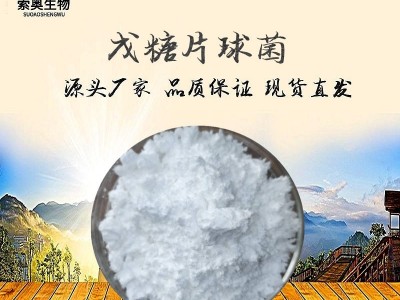 戊糖片球菌 100亿/g 厂家直销 益生菌粉 饲料添加 乳酸菌原料图1