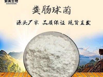 粪肠球菌、饲料、农用、水产、养殖、宠物益生菌 乳酸菌 厂家直销图1