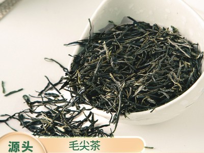 2022毛尖茶新绿茶散装浓香味四川毛尖云雾绿茶茶叶一件代发图2