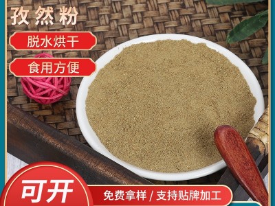 孜然粉烧烤撒料蘸料牛羊肉串撒料商用炸串小吃蘸料火锅调料图1