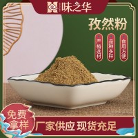 孜然粉厂家供应椒盐烤肉料装烤串料撒粉羊肉串烧烤料孜然粉