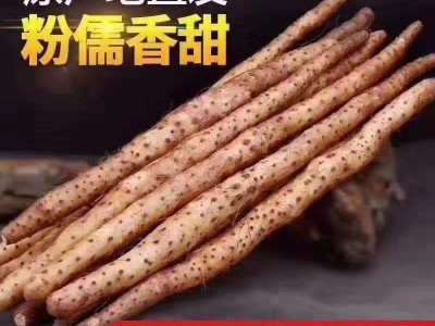 40公分新鲜垆土山药5斤礼盒装河南温县铁棍山药怀山药河南特产图5