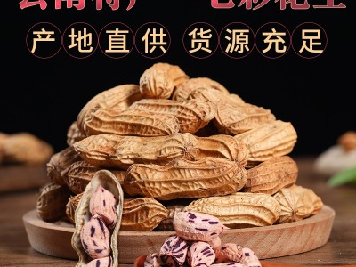 产地直供云南特产七彩花生 农家种植带壳七彩原味花生水洗晒干图5
