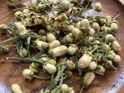 橘红花 橘红花茶 化州橘红花图5