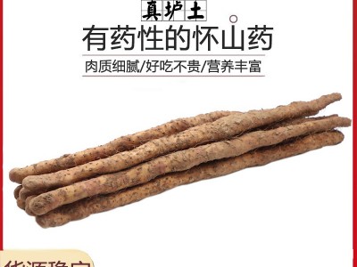 铁棍山药河南焦作垆土铁棍山药产地批发非淮山药一件代发怀 山药图2