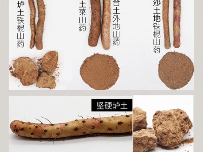 铁棍山药河南焦作垆土铁棍山药产地批发非淮山药一件代发怀 山药图3