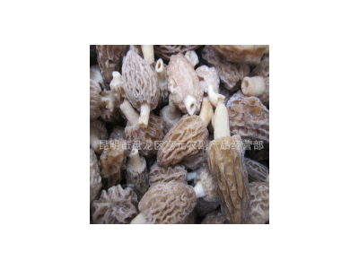 羊肚菌 冷冻野生羊肚菌 速冻羊肚菌 冻品批发图3