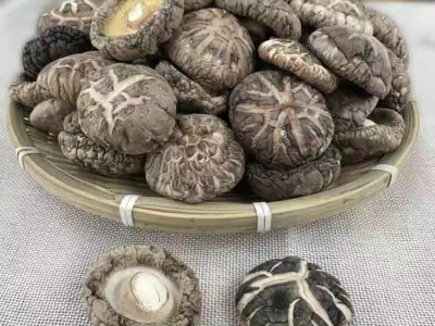 【产地直供】小花菇干货散装批发香菇肉厚花菇蘑菇金钱菇量大从优图2