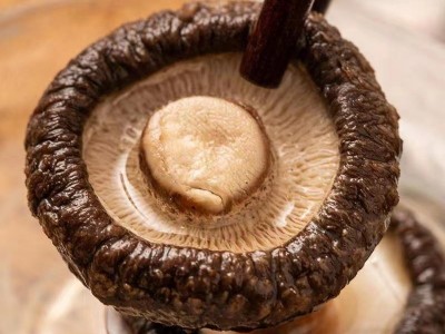 【厂家直供】香菇干货散装批发 无根肉厚 500g黑面小香菇量大从优图2
