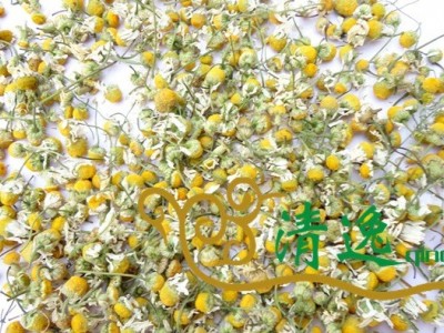 亳州清逸 洋甘菊 罗马洋甘菊 德国洋甘菊500克中药材店铺批发图4