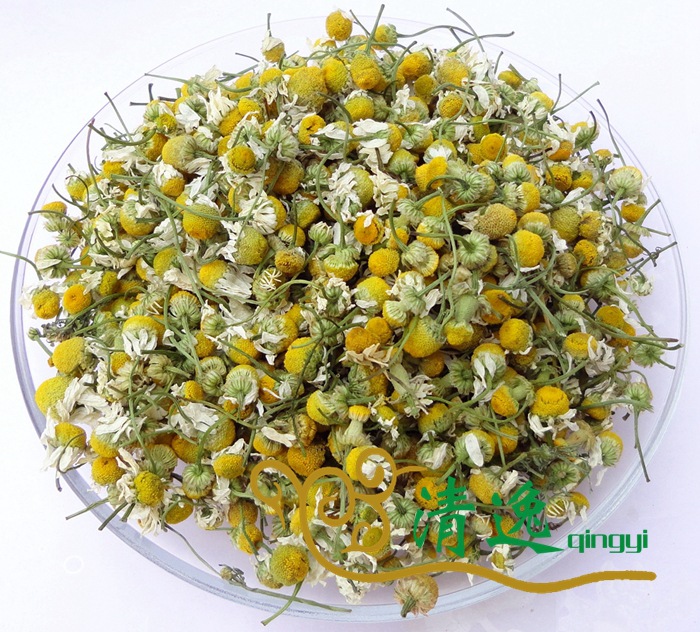 洋甘菊1 (9)
