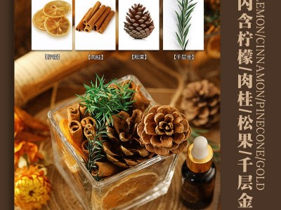 厂家批发 无火香薰精油肉桂皮扩香杯空气清新剂家用香氛装饰摆件图4