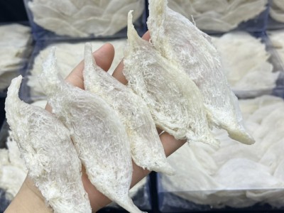 雨季半干挑大燕条 批发马来印尼燕窝 量大价优鲜炖燕窝原料招代理图3