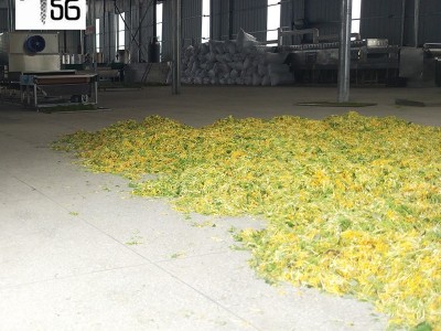 厂家供应微波炉杀青机抑制菌工业微波炉隧道式金银花微波烘干机图2