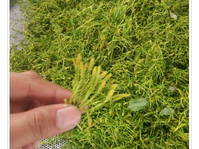 厂家供应微波炉杀青机抑制菌工业微波炉隧道式金银花微波烘干机图4