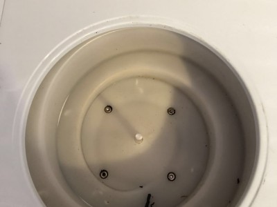 旋转多功能茶叶分装机 粉末固体定量称重机 茶叶大米咖啡分装机图3