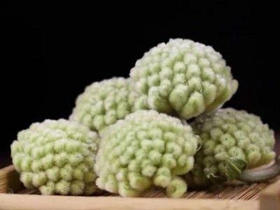 西藏绿萝花批发大货散装 花草茶 密猛花 藏绿萝花 雪丽花一件批发图4