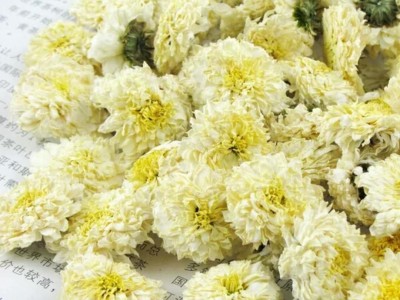 贡菊 gongju 产地 安徽省亳州市 11月产新 170元每公斤包邮贡菊图4