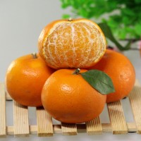 本地果园现摘广西特产当季新鲜水果9斤大果沃柑礼盒定制logo