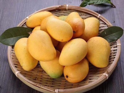 海南小台农芒果新鲜小台芒现摘大果9斤当季热带水果小甜心芒代发图4