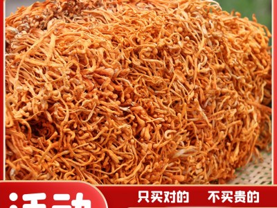 500g一斤北虫草虫草花干货泡茶煲粥煲汤食材食用菌干货农产品图2
