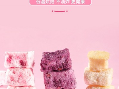 嘉新正 酸奶果粒麦片400g 干吃烘焙水果坚果燕麦片冲饮早餐代餐批图1