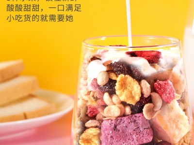 嘉新正 酸奶果粒麦片400g 干吃烘焙水果坚果燕麦片冲饮早餐代餐批图3