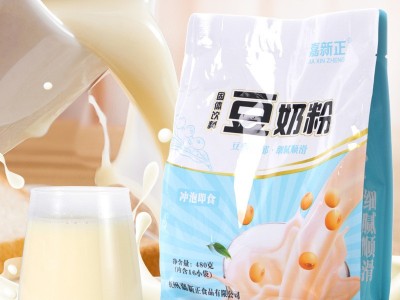 嘉新正 豆奶粉 480g 独立包装 家用 速溶冲饮豆奶 代早餐 批发图2