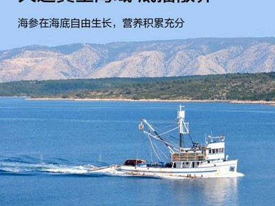 珍品堂大连海参 辽参 刺参 海参鲜食 精品佛跳墙成品加热即食海参图2