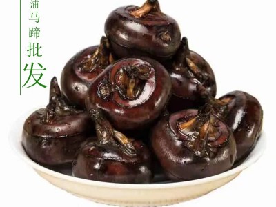 广西荔浦马蹄现挖新鲜带泥荸荠马蹄清甜脆爽马蹄批发图4