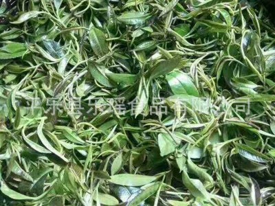 厂家供应广西特产石崖茶 候摘茶云雾茶 散装石崖茶批发图3