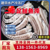 二本足鱿鱼须 去头鱿鱼新鲜速冻海鲜非章鱼足 烧烤火锅炸串食材