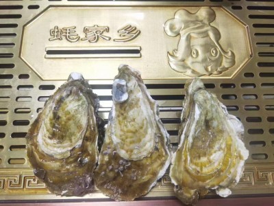 厂家直供1斤5~8个大生蚝 东山岛海鲜牡蛎肉乳山生蚝批发10斤起批图3